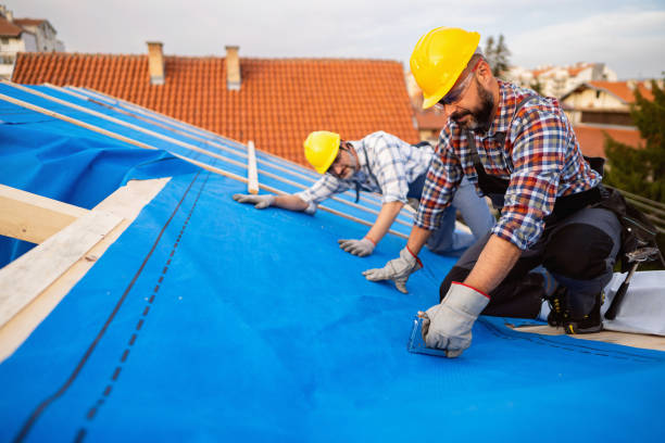 Best Storm Damage Roof Repair  in Clifton, NJ